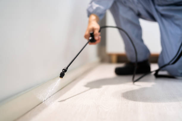 Licensed Termite Control service in White Mountain Lake, AZ - Show Me Pest Control